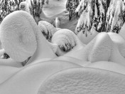 Xmas Morning Snowshoe 2