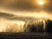 Yellowstone National Park