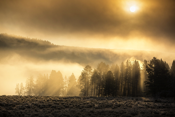 Yellowstone National Park