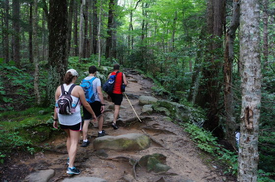 Great Smoky Mountains National Park