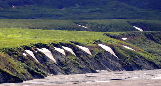 Denali National Park & Preserve