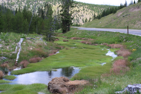 Yellowstone