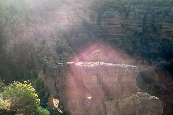 Grand Canyon Nation Park