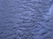 Petrified Forest in AZ