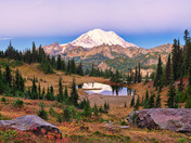 Mt. Rainier National Park