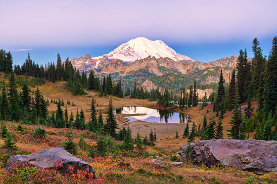 Mt. Rainier National Park