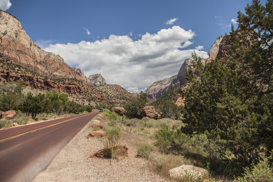 Zion National Park