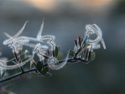  Walnut Canyon National Monument