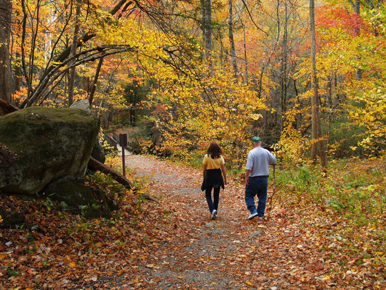 Great Smoky Mountains National Park