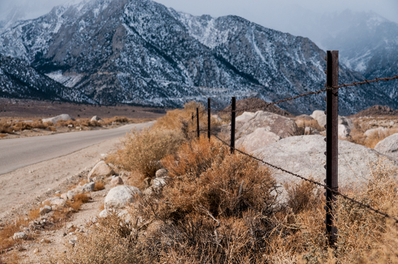 Mt Whitney / Alabama Hills