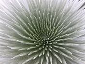 Haleakala National Park