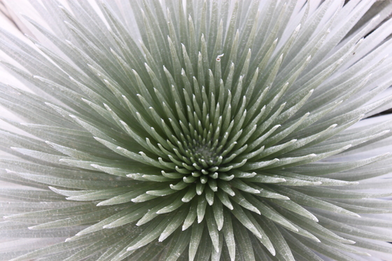 Haleakala National Park