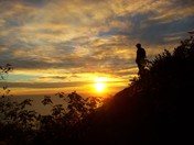 Redwood National Park