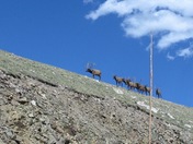 Rocky Mountain National Park