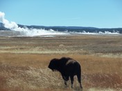 Yellowstone National Park