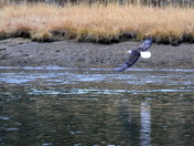 Tetons National Park