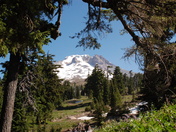 Mt Hood National Forest