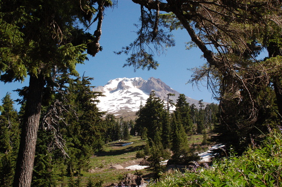 Mt Hood National Forest