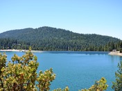 Shaver Lake