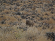 Dinosaur National Monument
