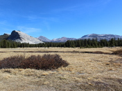 Yosemite National Park