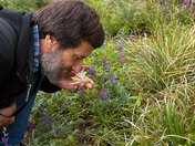 Mt. Hood National Forest