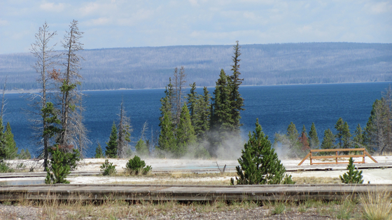 yellowstone