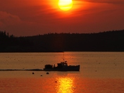 Acadia National Park 