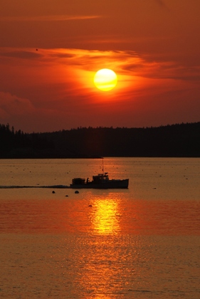 Acadia National Park 