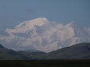 Denali National Park