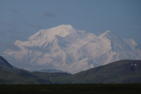 Denali National Park