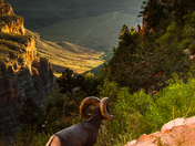 Grand Canyon National Park