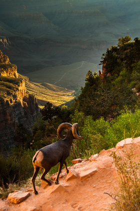 Grand Canyon National Park