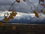 Grand Teton National Park
