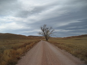 Wind Cave National Park