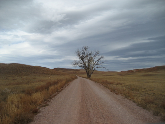 Wind Cave National Park