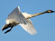 Lee Metcalf National Wildlife Refuge