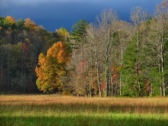 Great Smoky Mountains National Park
