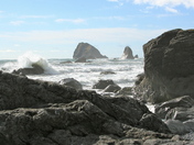 Redwood National Park