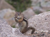 Rocky Mountain National Park