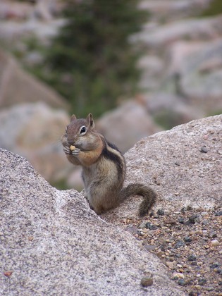 Rocky Mountain National Park