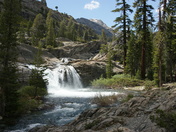Sierra National Forest/Ansel Adams Forest
