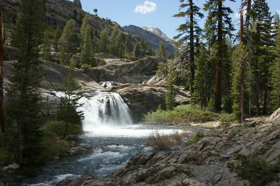 Sierra National Forest/Ansel Adams Forest