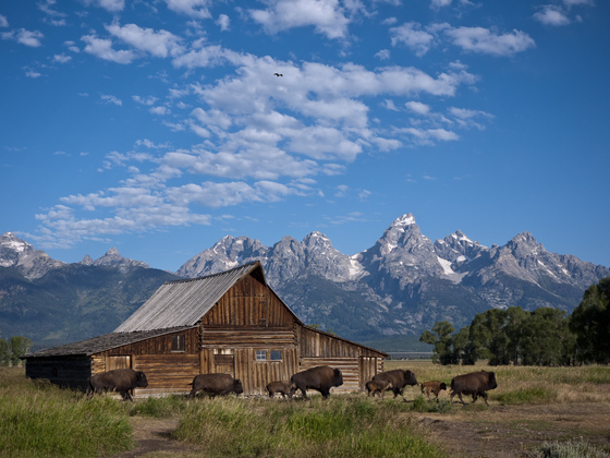 Grand Teton National Park