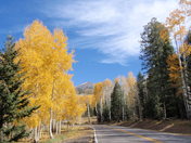 Coconini National Forest