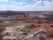 Petrified Forest National Park