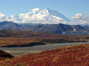 Denali National Park