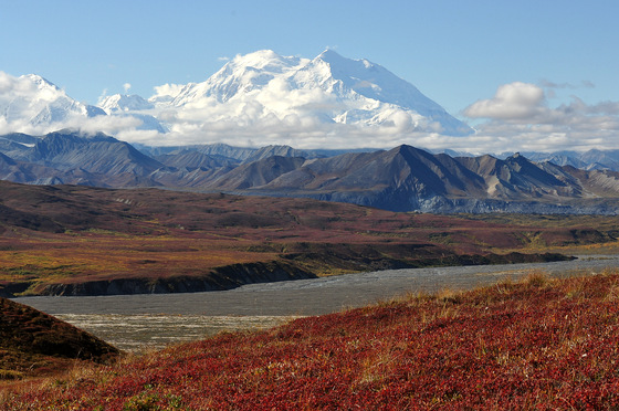 Denali National Park