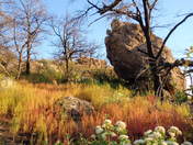 Chiricahua National Monument