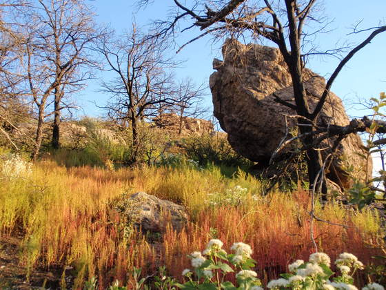 Chiricahua National Monument